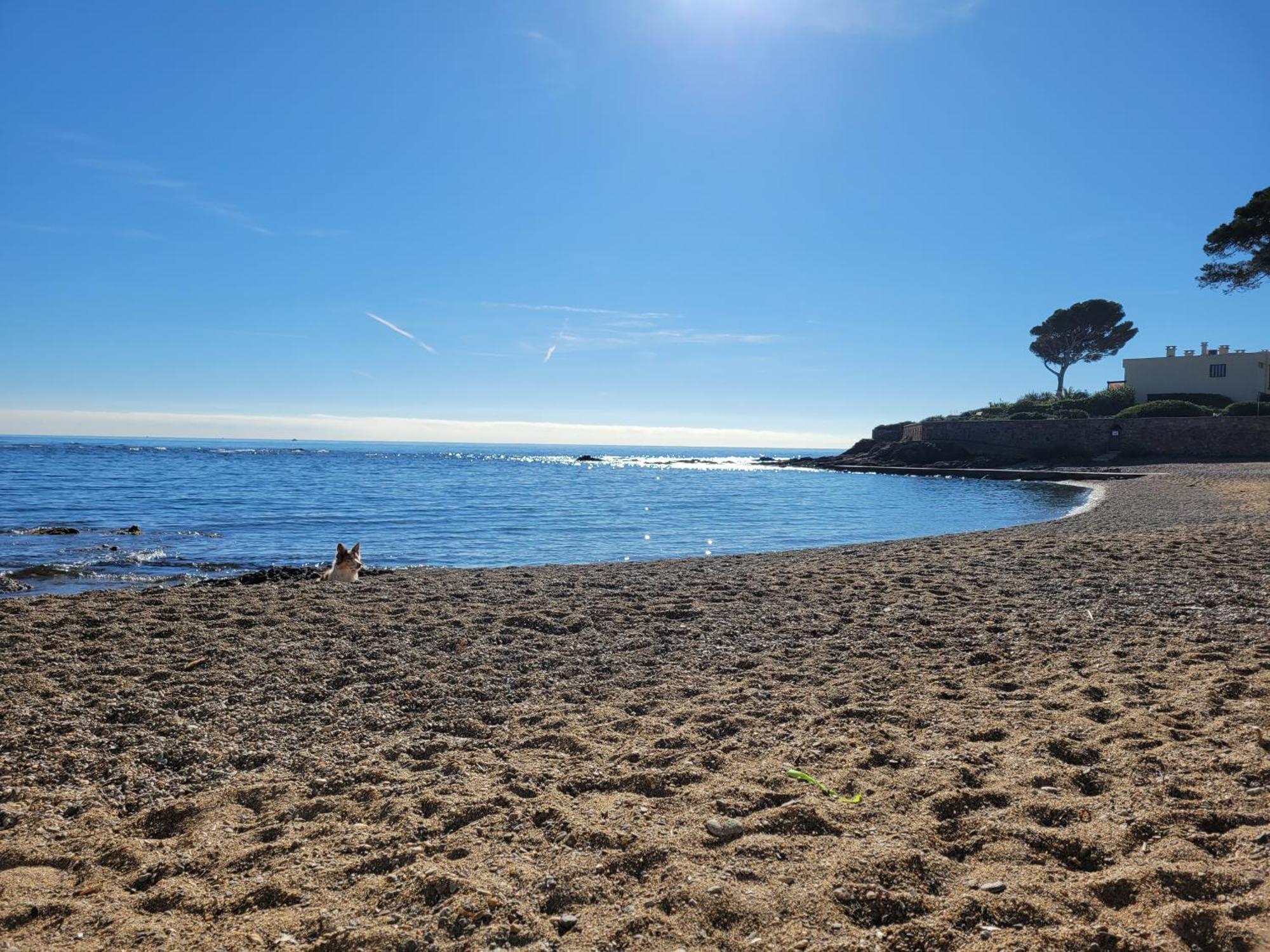 Appartement La Tranquillite, 2Mn A Pieds Mer Frejus Luaran gambar